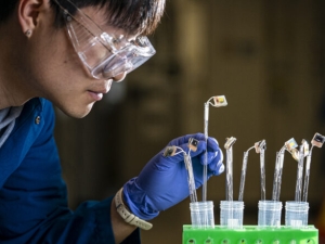 image of scientist looking at test tubes
