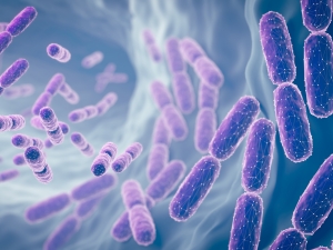 Illustration of Lactobacillus bacteria, capsule-shaped and shown in purple against blue background.