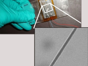 gloved hand holding sensor