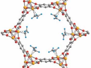 A model of the molecule.