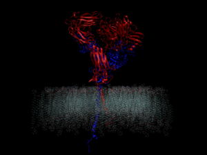 computer simulation of gray and red shapes