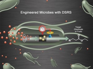 technical illustration of a cell with a valve and valve meter, shapes moving through the cell