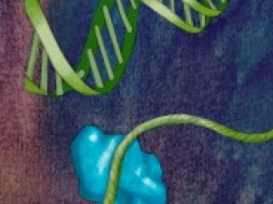 graphic showing green dna strand, turquoise and yellow irregular shapes