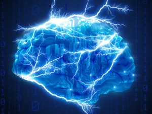 Brain