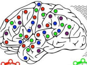 An illustration of brain rhythms shown in different colors.