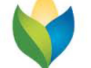 logo of green, yellow and blue leaf shapes