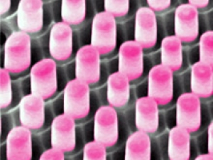 Pink stoppers in a grid