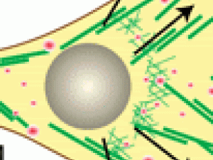 technical illustration showing arrows moving from circle shape outward