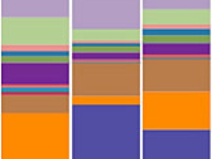 3 panels of color strips