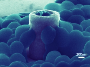 microscopic image of blue shapes drawn to hollow vertical shape