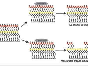 technical illustration of wave changes