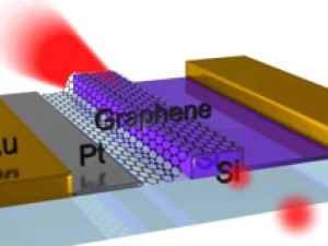 A model of the graphene modulator.